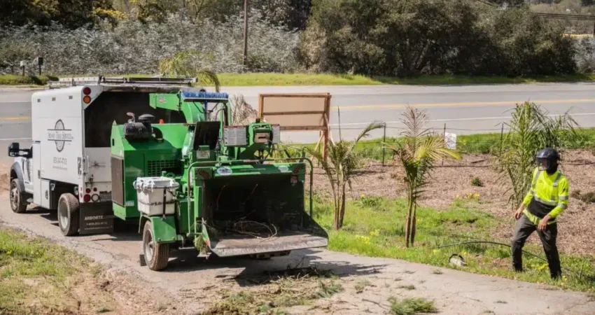 commercial tree care