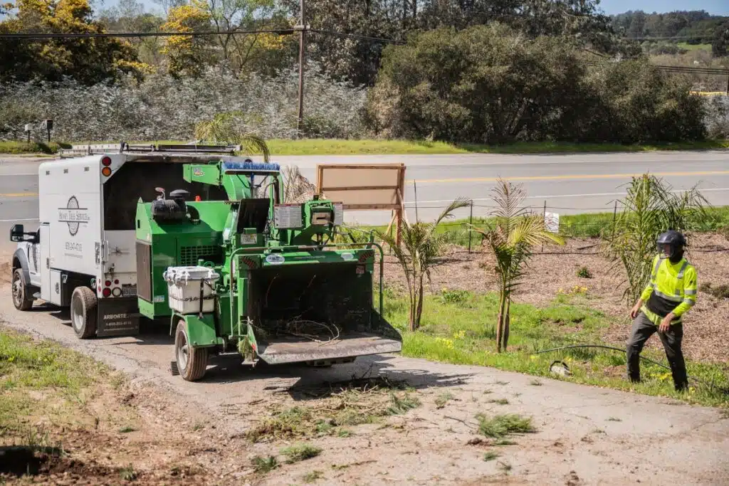 commercial tree care